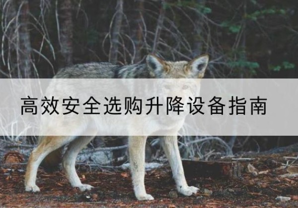 郧阳升降货梯厂家推荐-*安全选购升降设备指南