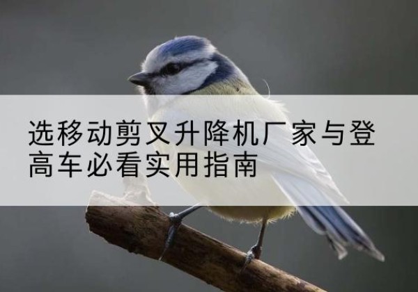 郧阳电动升降机厂家-选移动剪叉升降机厂家与登高车必看实用指南