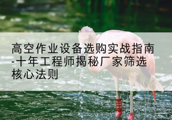 郧阳剪叉式升降机厂家-高空作业设备选购实战指南-十年工程师揭秘厂家筛选核心法则